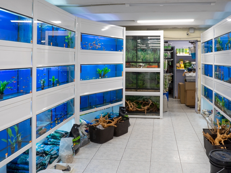 Botiga d'animals i aquaris Sirioaquaris (5)