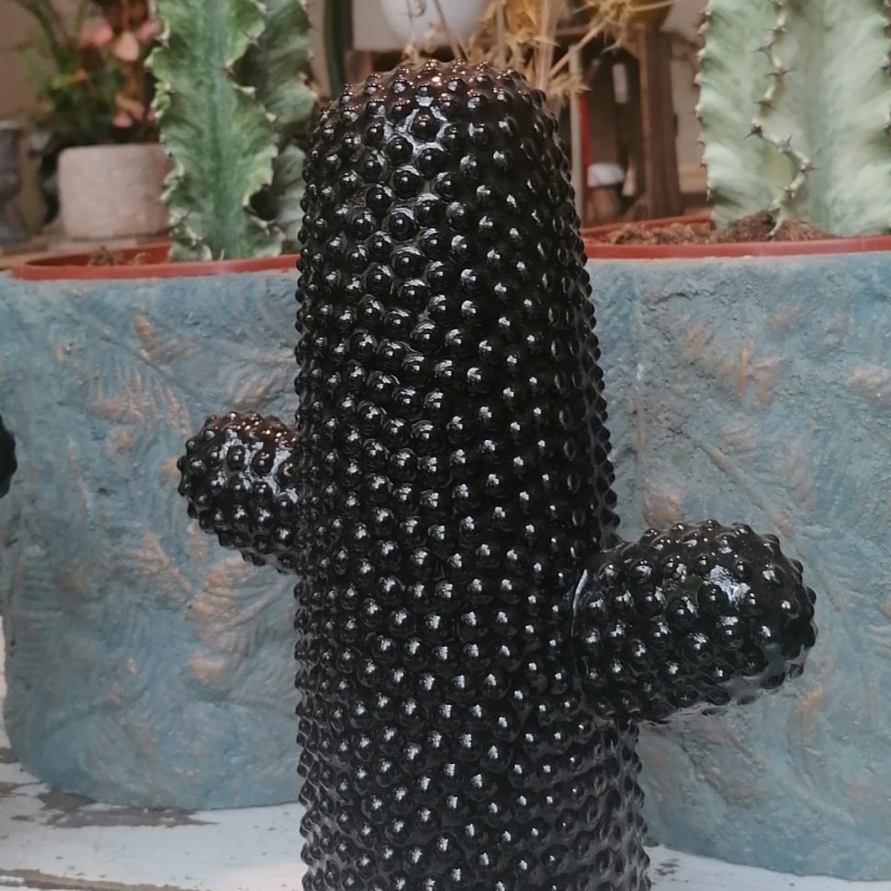 Cactus ceramica decoratiu.